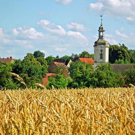 Naturhotel Etzdorfer Hof Schoenburg Екстериор снимка