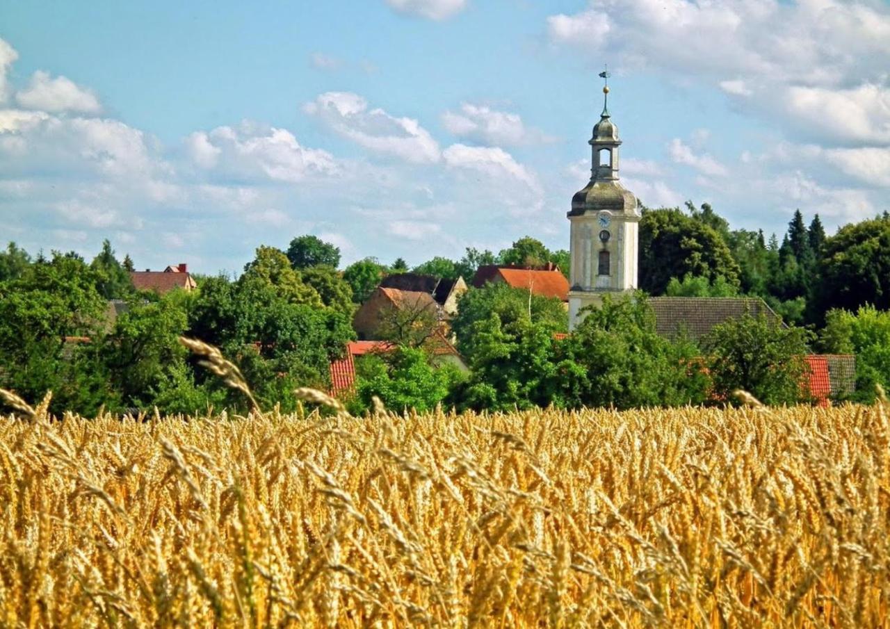 Naturhotel Etzdorfer Hof Schoenburg Екстериор снимка